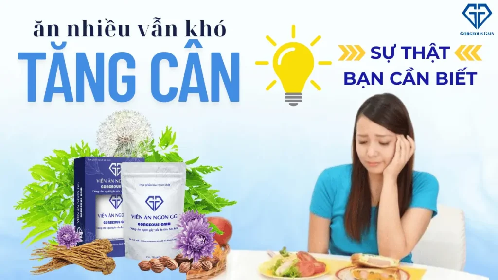Ăn nhiều vẫn khó tăng cân – Tìm hiểu cơ chế tiêu hoá, hấp thu, giấc ngủ và giải pháp hỗ trợ cùng Viên Ăn Ngon GG.