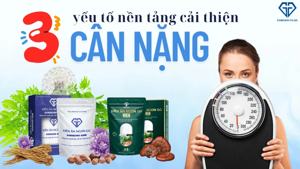 3 yếu tố nền tảng cải thiện cân nặng: ăn ngon, ngủ tốt, vận động hợp lý