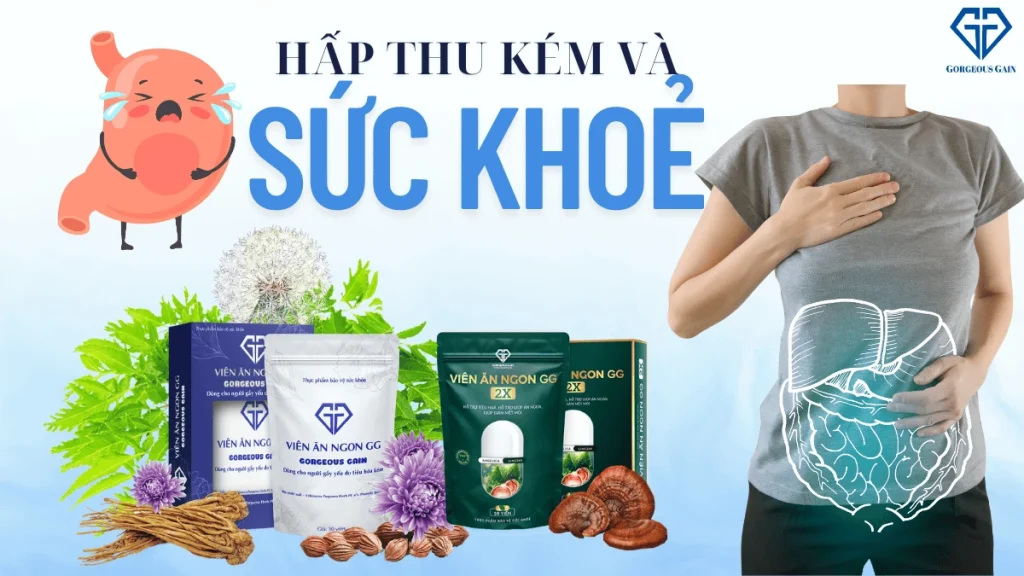 Hấp thu kém và sức khoẻ tổng thể – khi tiêu hoá yếu kéo theo suy nhược