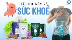 Hấp thu kém và sức khoẻ tổng thể – khi tiêu hoá yếu kéo theo suy nhược