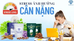 Stress ảnh hưởng đến cân nặng và hệ tiêu hoá