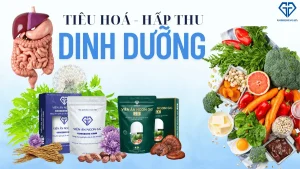 Viên Ăn Ngon GG 2X hỗ trợ tiêu hoá