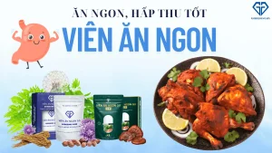 Làm thế nào để cơ thể hấp thu dinh dưỡng hiệu quả hơn